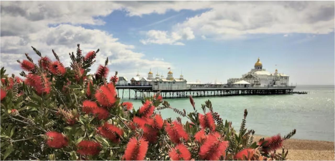 Burlington Palace Eastbourne Seafront Villa With Garden. Exteriér fotografie